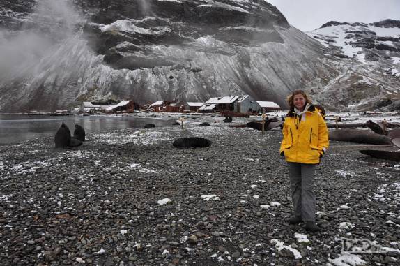 Na praia da antiga estação baleeira de Stromness, na Geórgia do Sul